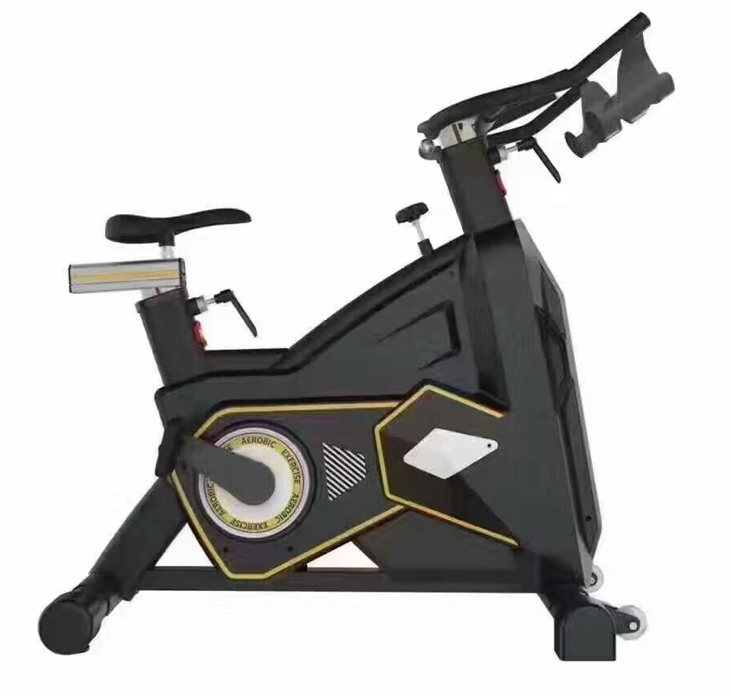 Gym Exercise Fitness Spinning Bike